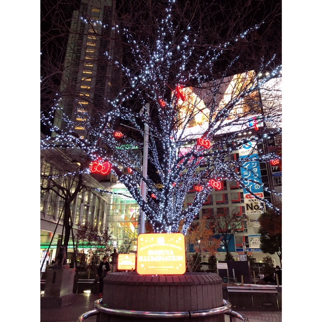東京のクリスマスイルミネーション