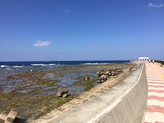 沖縄の海