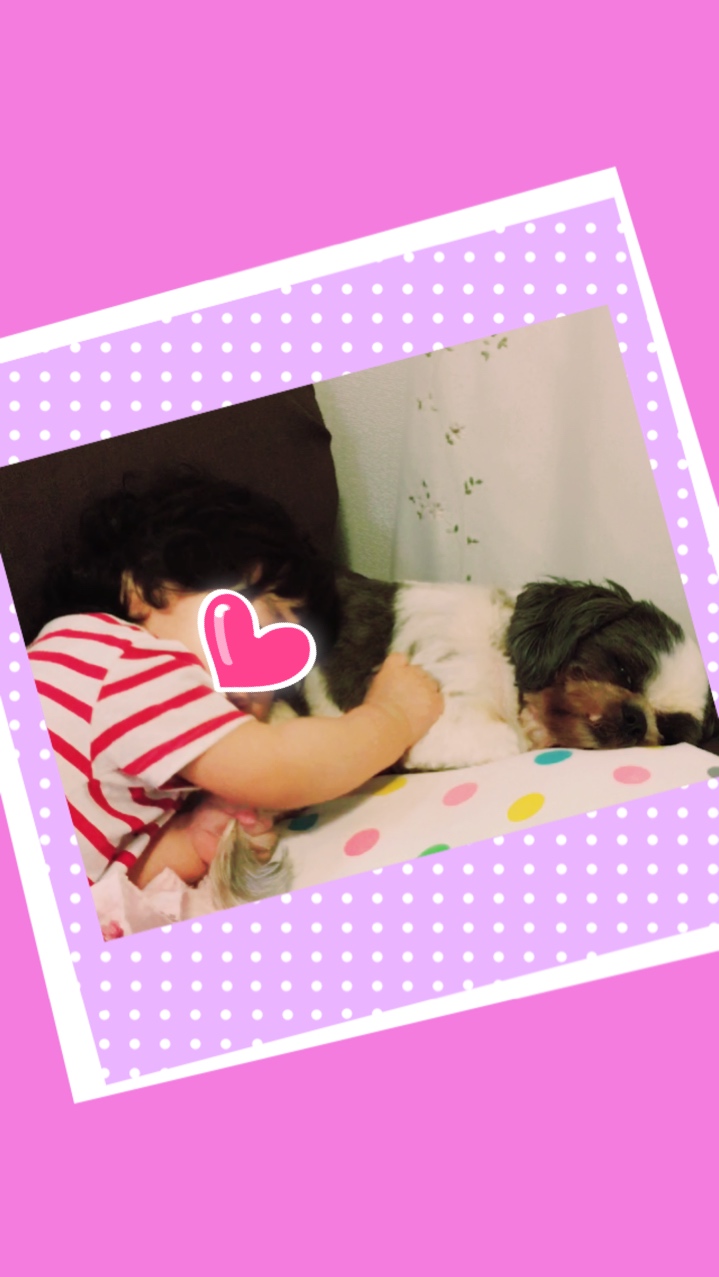 犬の枕で寝る子供